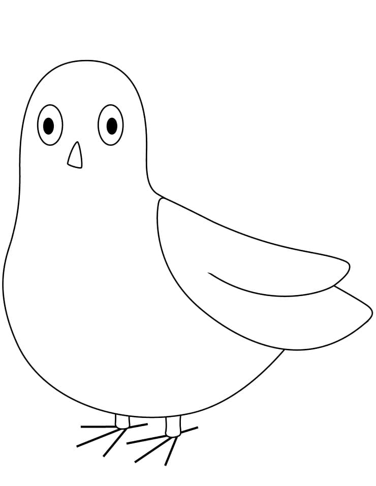 Easy Pigeon coloring page