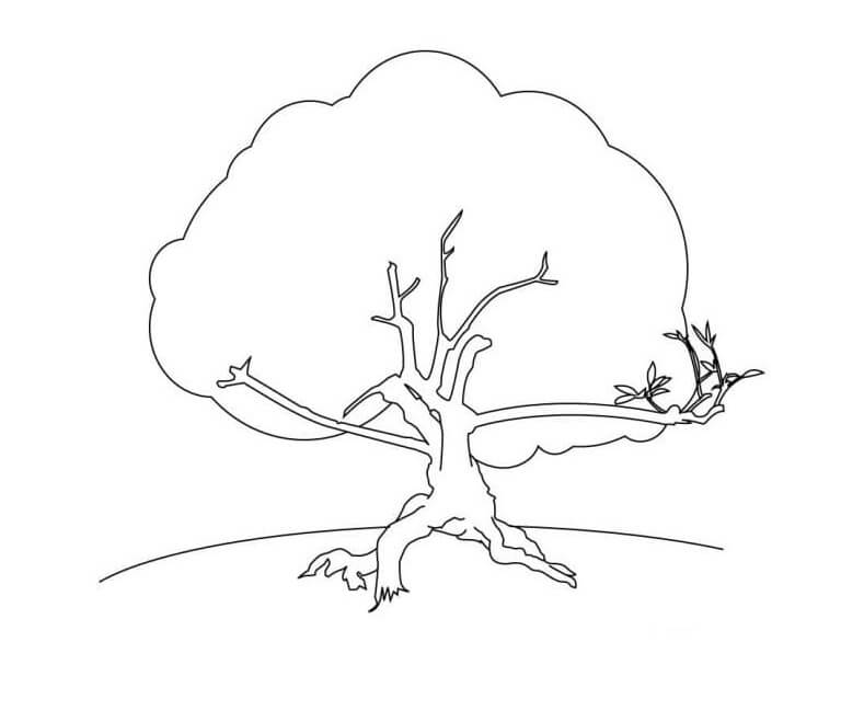 Forest Tree coloring page