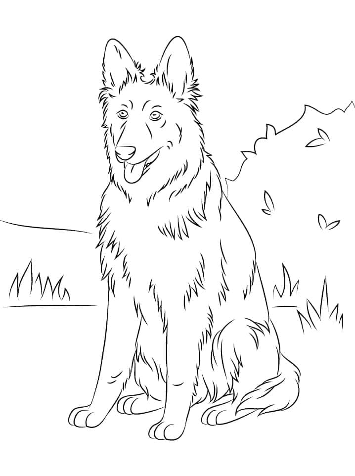 Free Drawing of German Shepherd coloring page