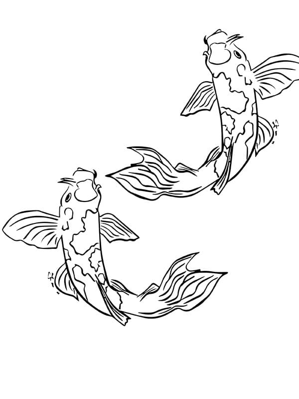 Free Koi Fishes coloring page