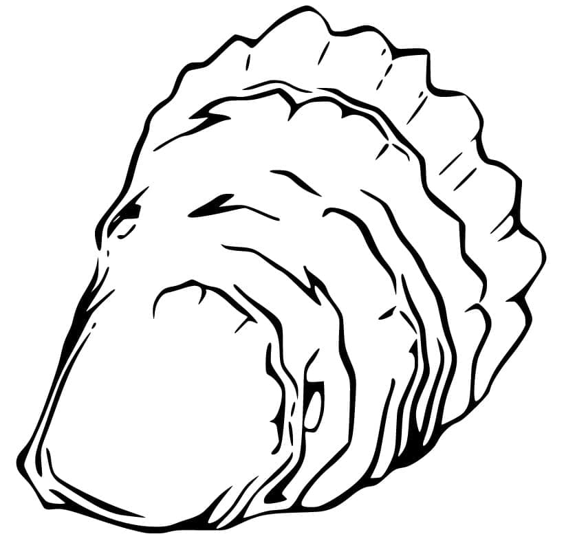 Free Oyster coloring page