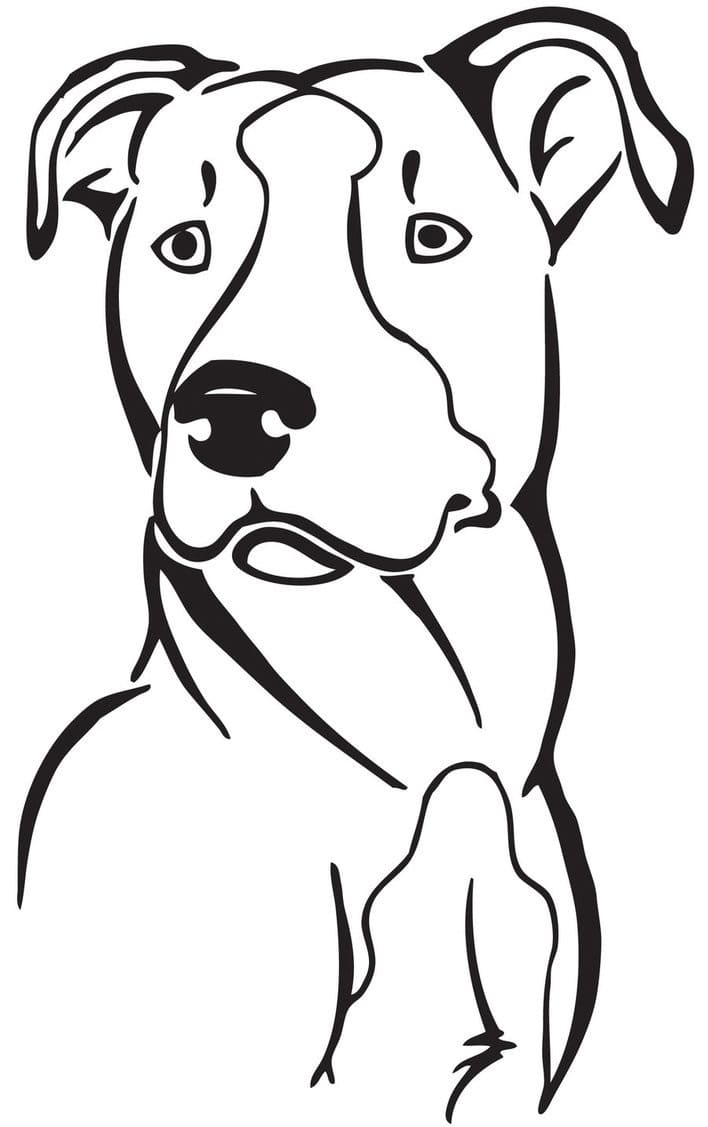 Free Pitbull coloring page