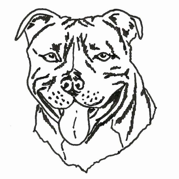 Free Pitbull Dog coloring page