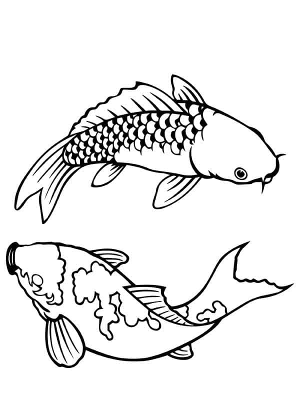 Free Printable Koi Fishes