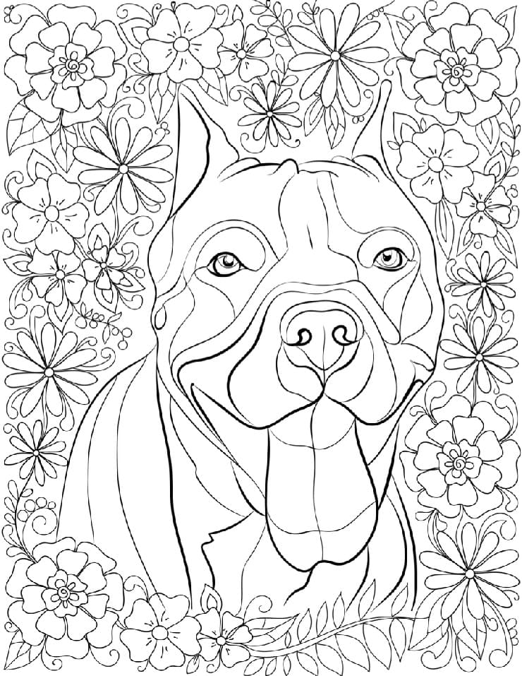 Free Printable Pitbull