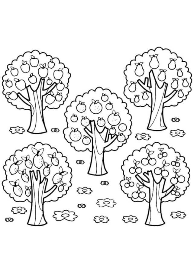 Fruit Trees coloring page