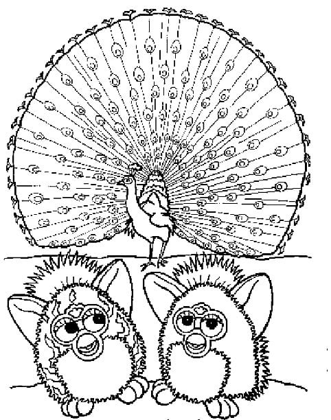 Furby and Peacock coloring page