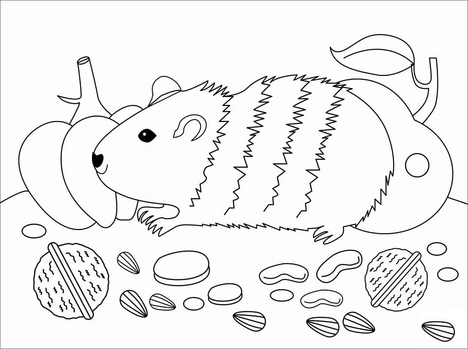 Guinea Pig For Free coloring page