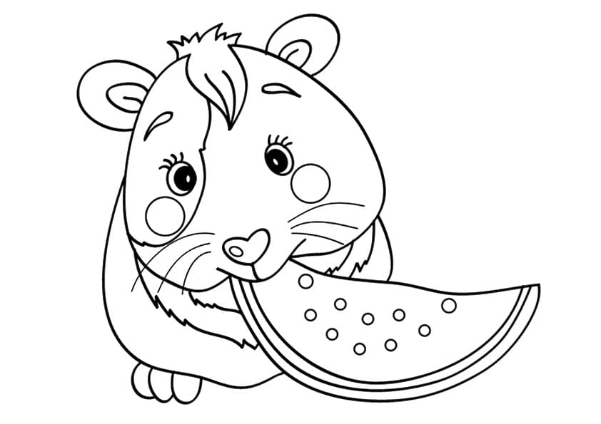 Guinea Pig with Watermelon coloring page