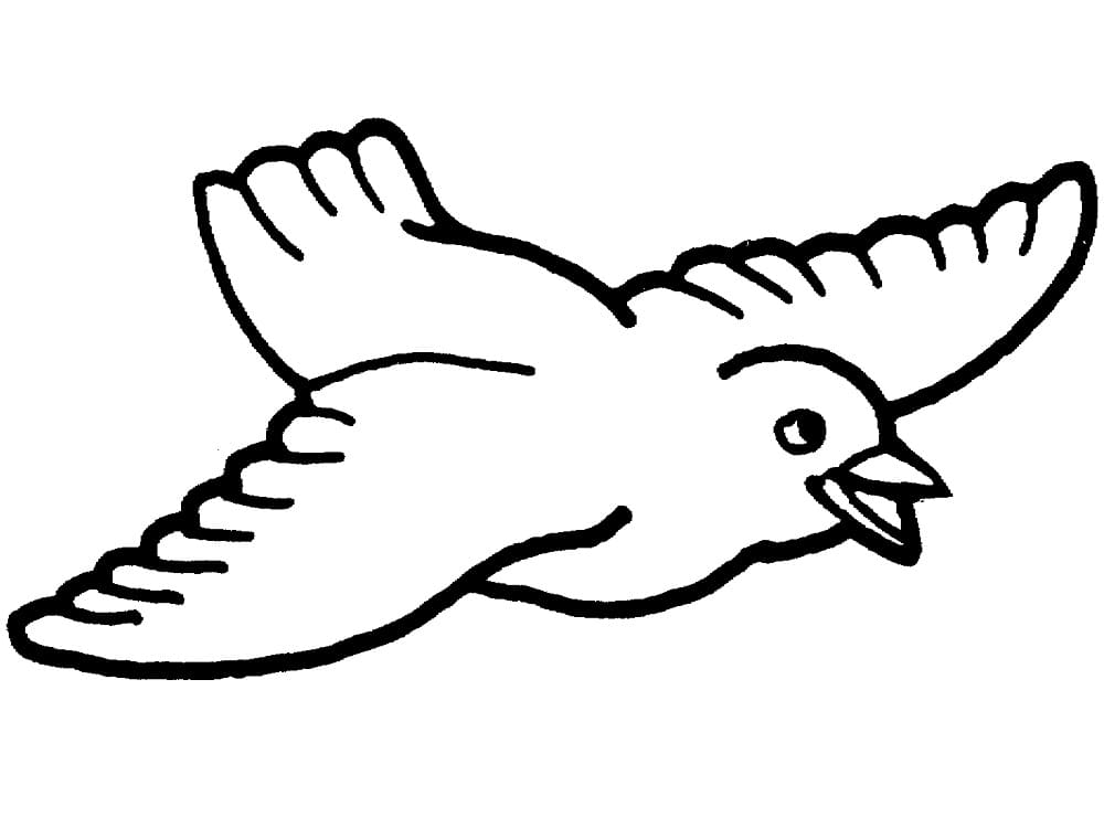 Happy Dove coloring page