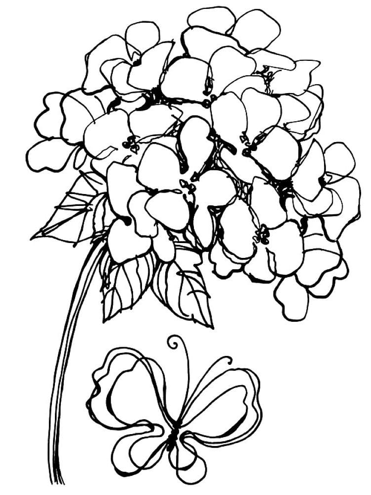 Hydrangea and Butterfly coloring page