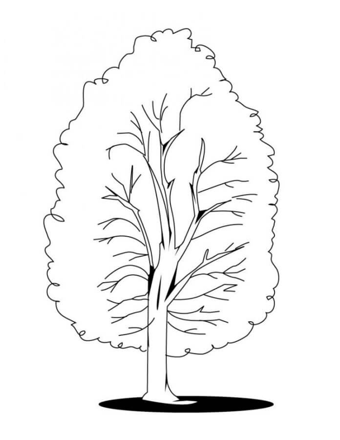 Kind Tree coloring page