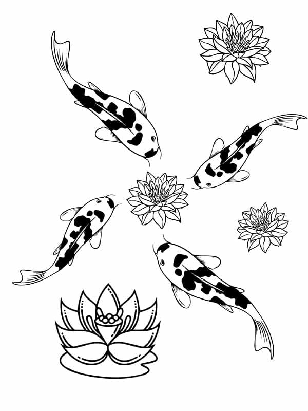 Koi Fishes Image