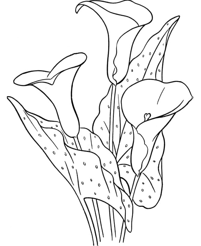 Lilies for May coloring page