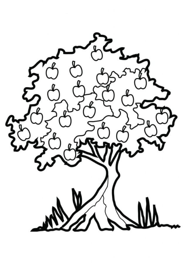 Lonely Apple coloring page