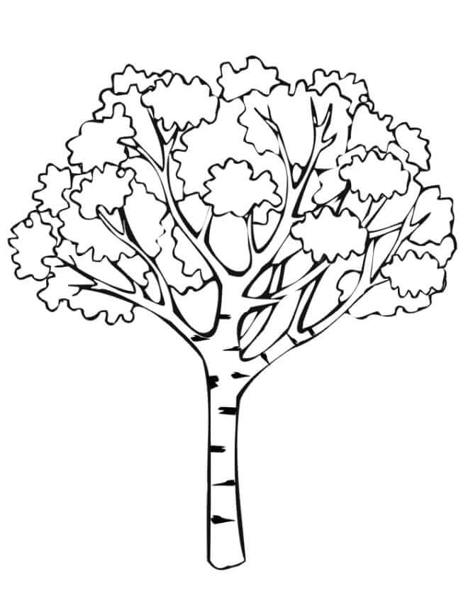 Lonely Birch coloring page