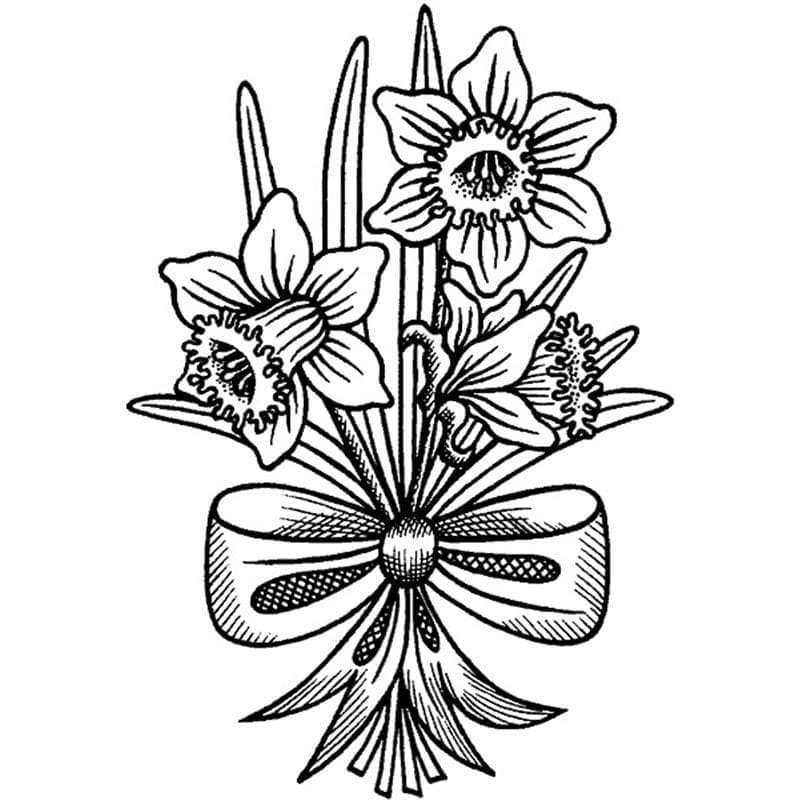 Lovely Daffodils coloring page