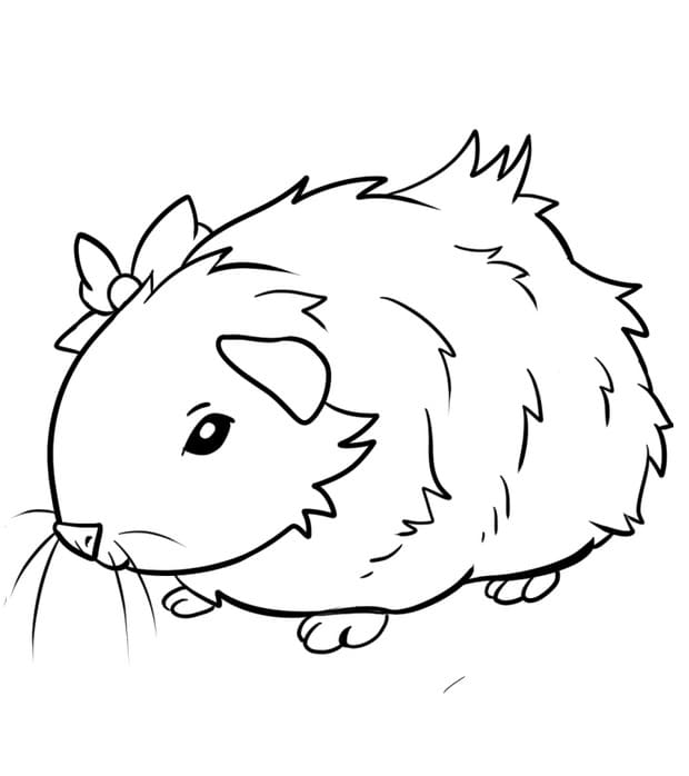 Lovely Guinea Pig coloring page