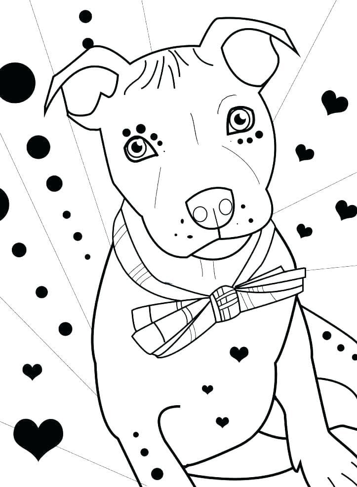 Lovely Pitbull coloring page