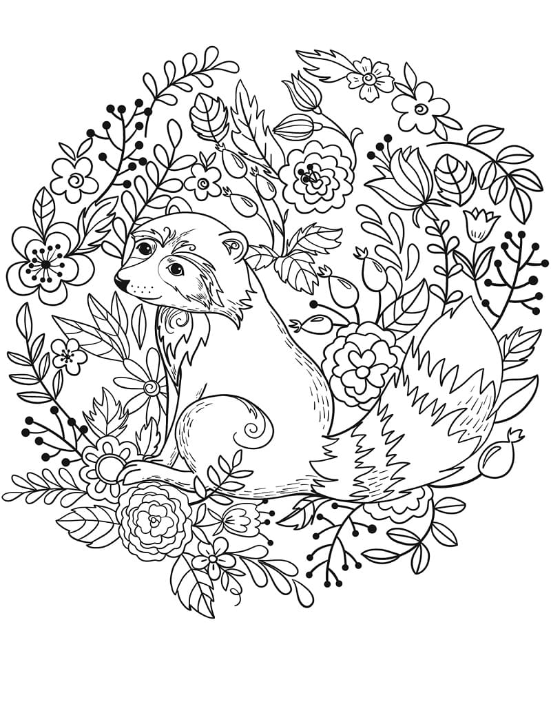 Lovely Raccoon coloring page