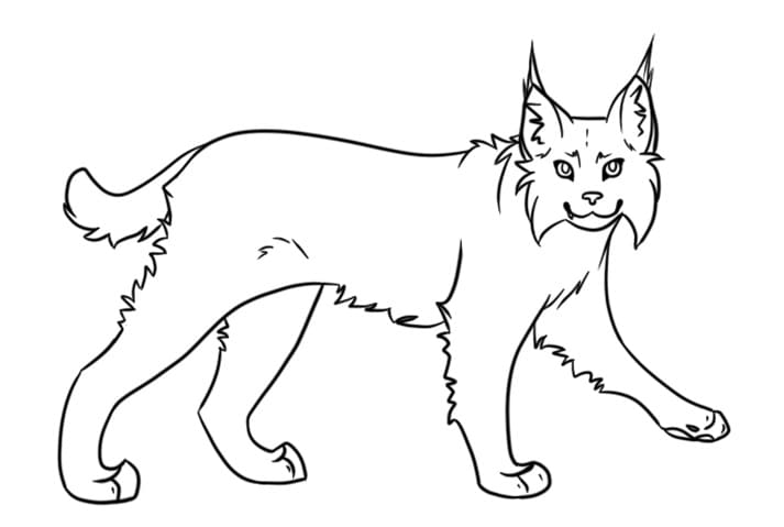 Lynx Free Printable coloring page