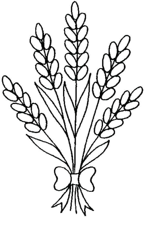 Nice Lavender coloring page