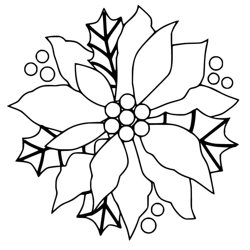 Nice Poinsettia coloring page