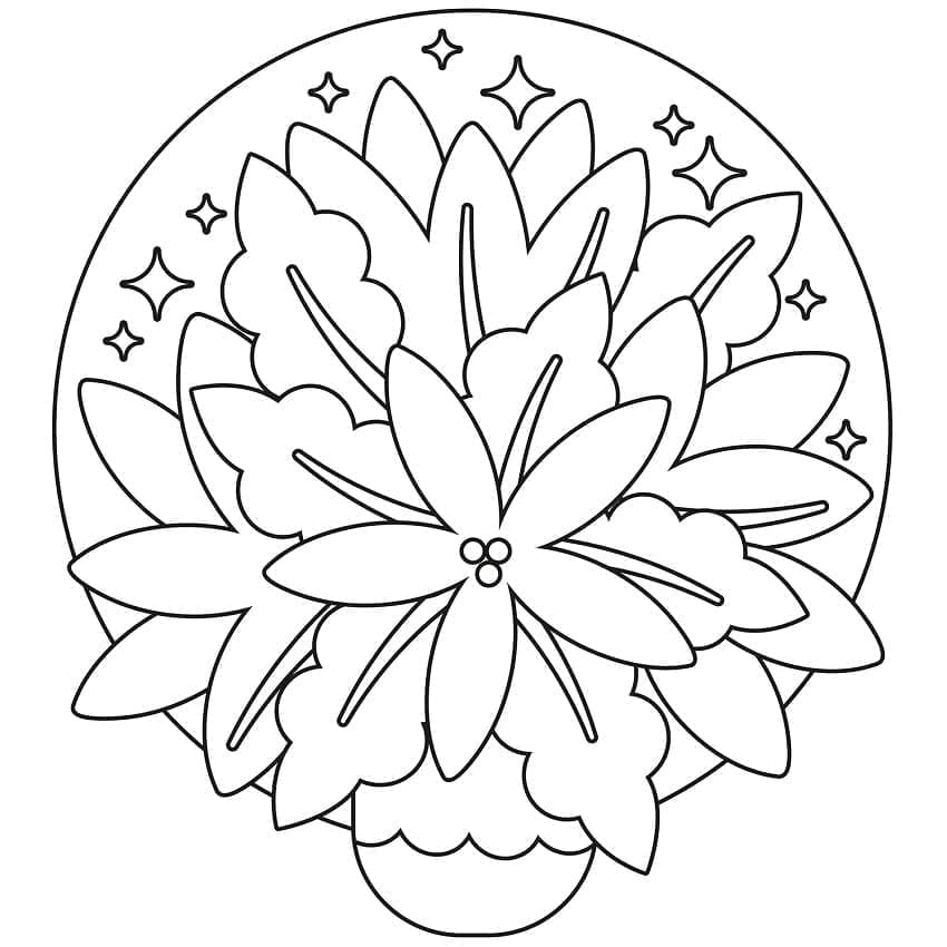 Nice Poinsettia Flower coloring page