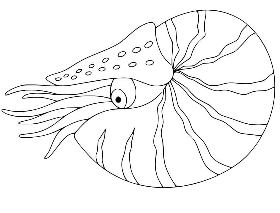 Nautilus coloring pages