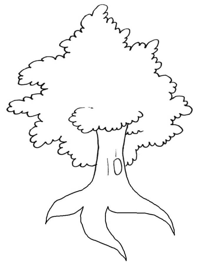 Numbered Tree coloring page