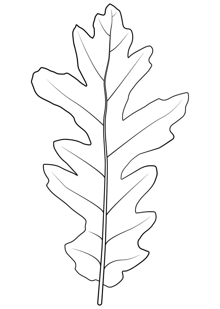 Oak Leaf to Print coloring page