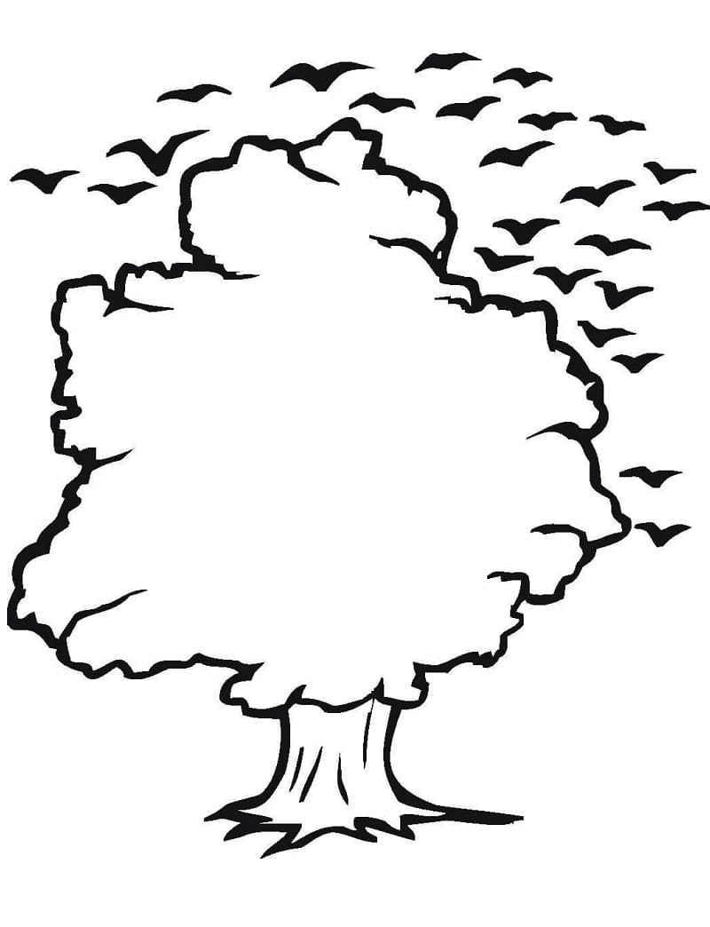 Oak Tree and Birds coloring page