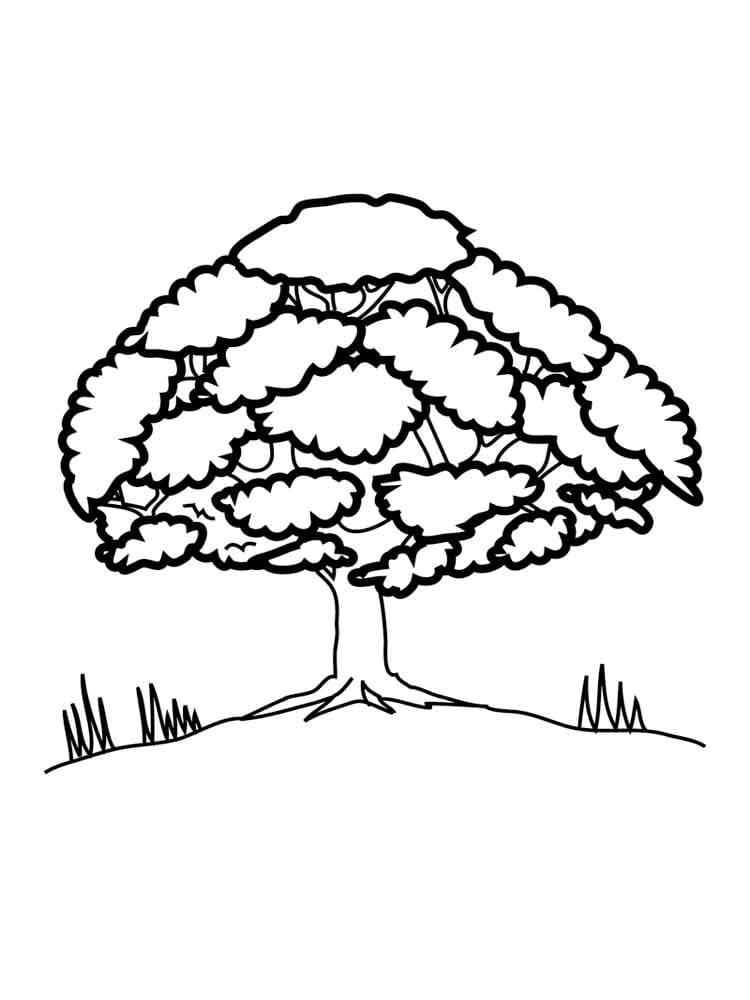 Oak Tree Free For Kids coloring page