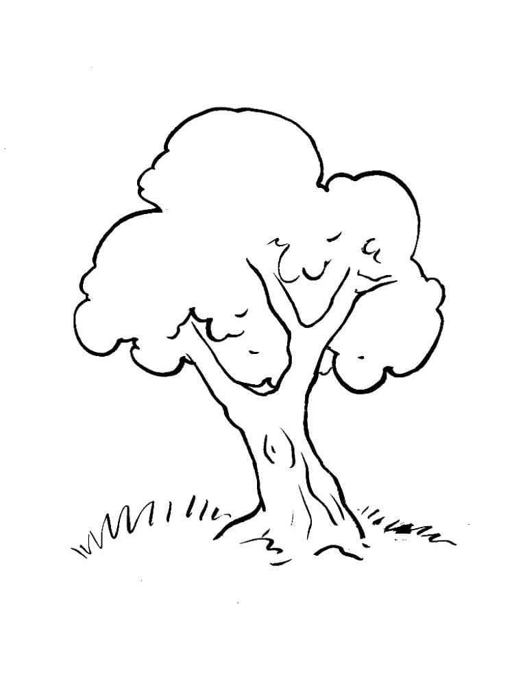 Oak Tree Printable For Kids coloring page