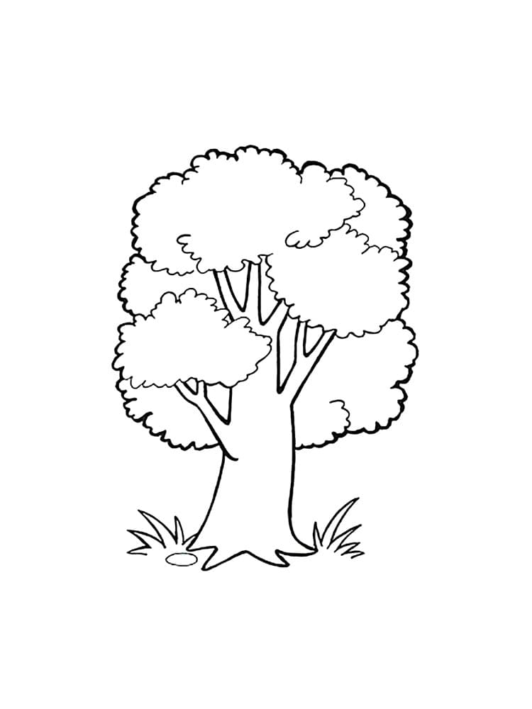 Oak Tree to Print coloring page - Download, Print or Color Online for Free