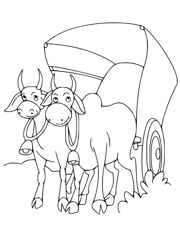 Ox Cart