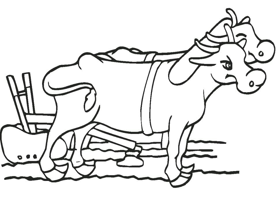 Oxen with Plow coloring page