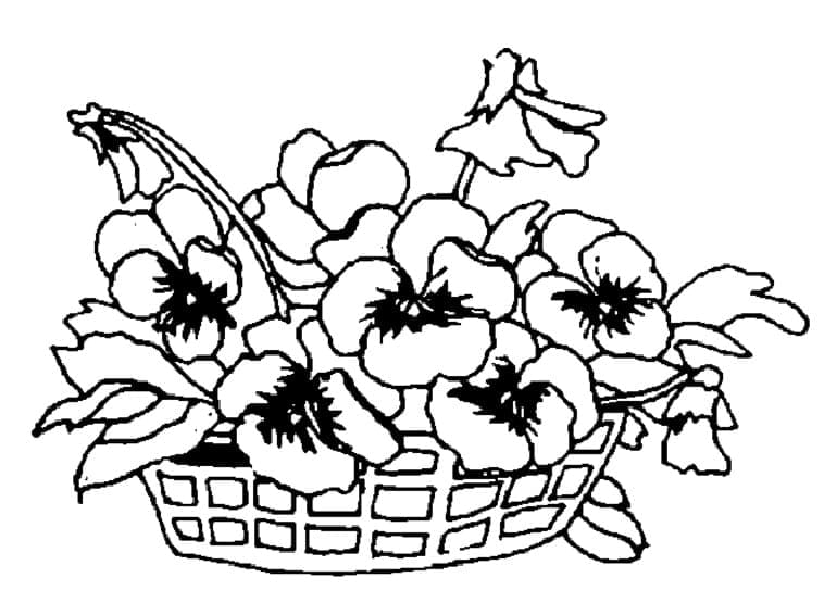 Pansies Basket