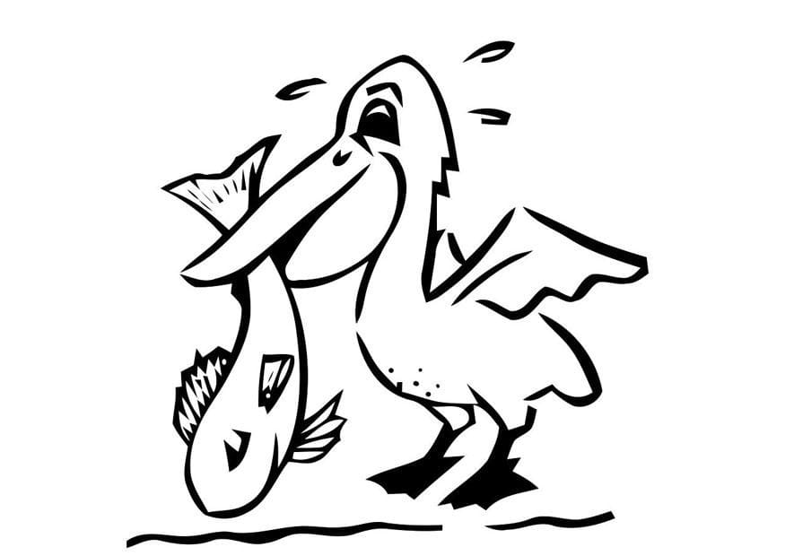 Pelican Catching Fish coloring page