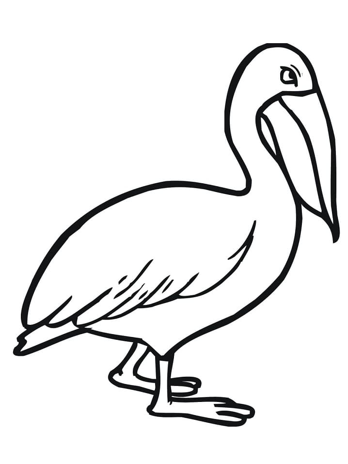 Pelican to Print