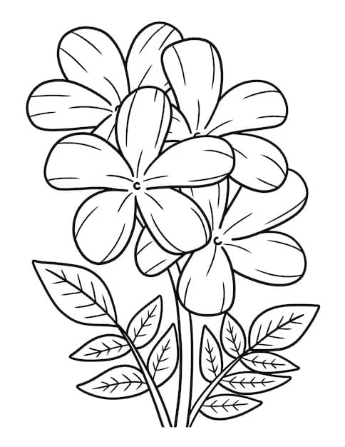 Perfect Jasmine Flowers coloring page