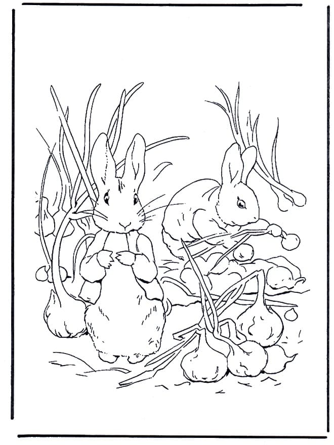 Peter Rabbit in the Garden coloring page