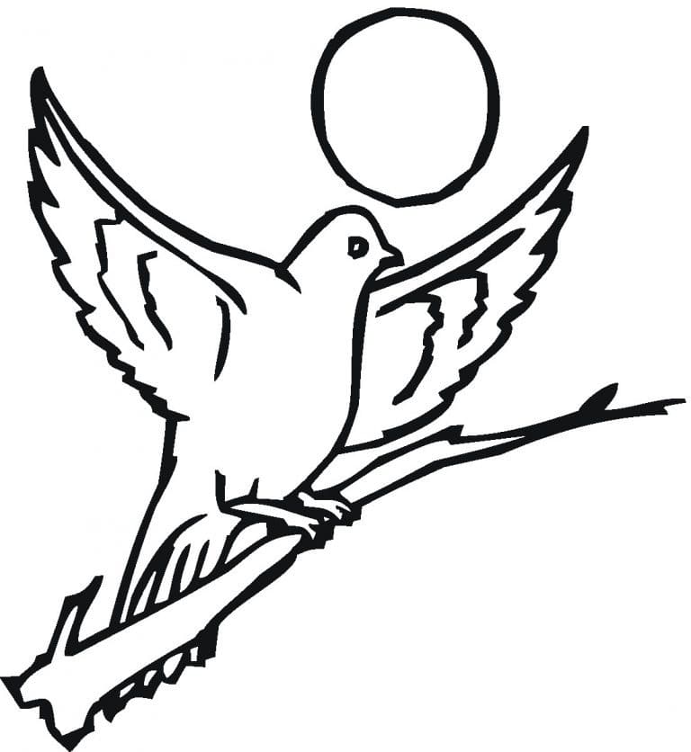 Pigeon For Free coloring page