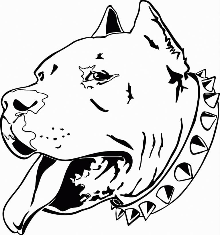 Pitbull Head coloring page