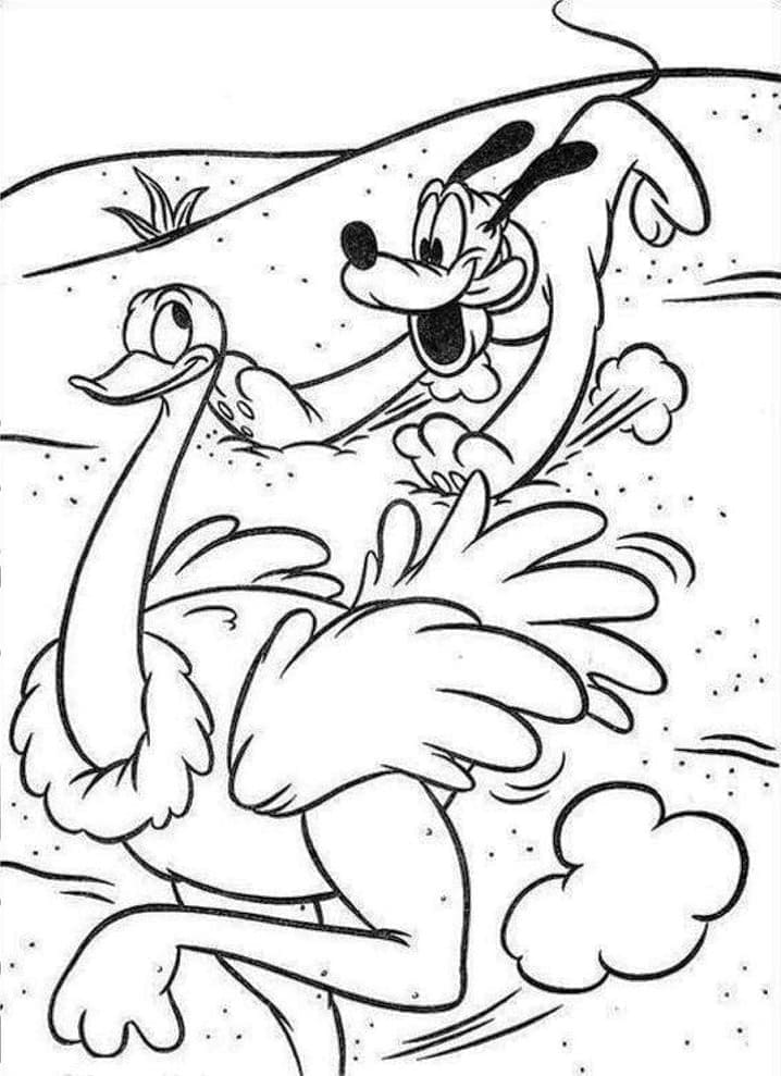 Pluto and Ostrich coloring page