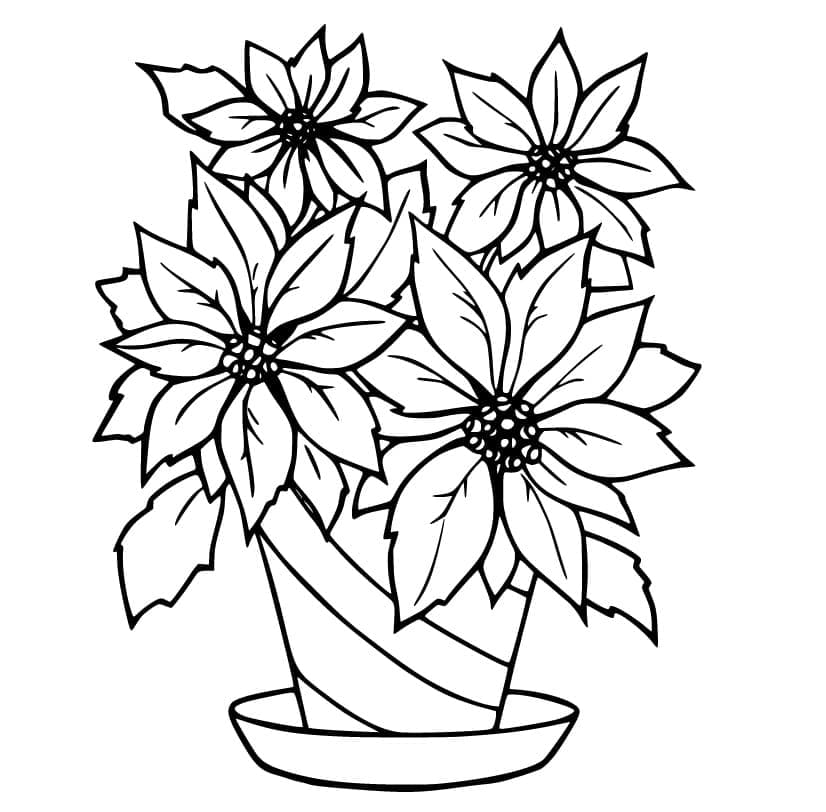 Poinsettia Pot coloring page