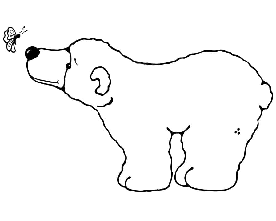 polar-bear-and-butterfly-coloring-page-download-print-or-color