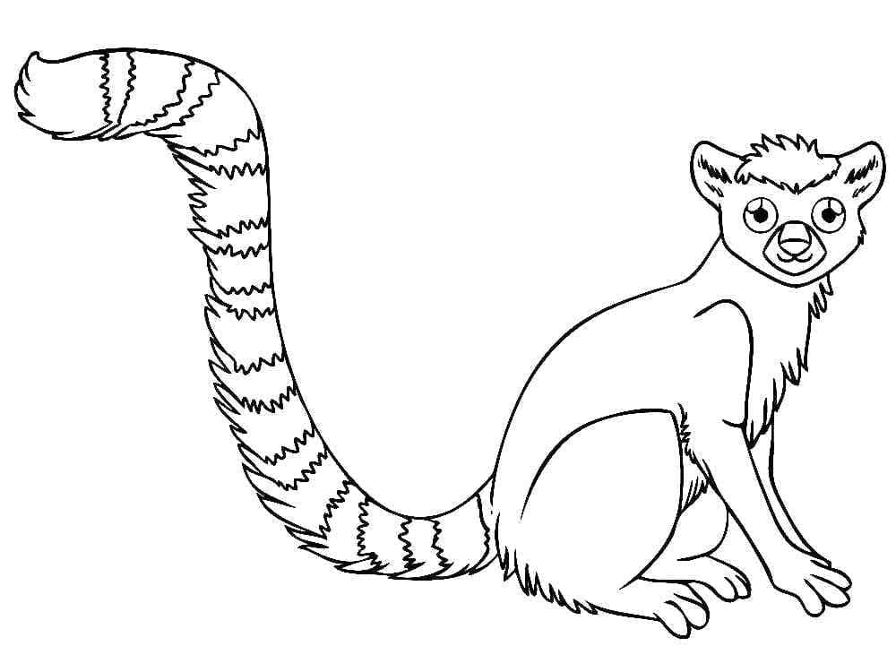 Printable Cute Lemur coloring page