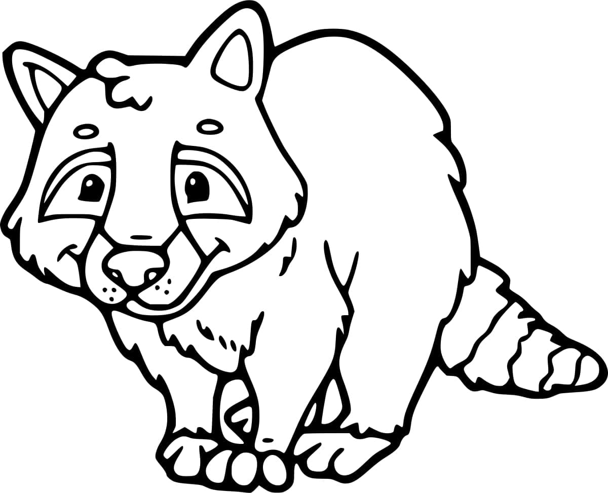 Print Raccoon coloring page - Download, Print or Color Online for Free