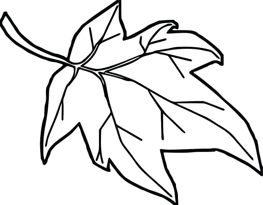 Printable Maple Leaf coloring page